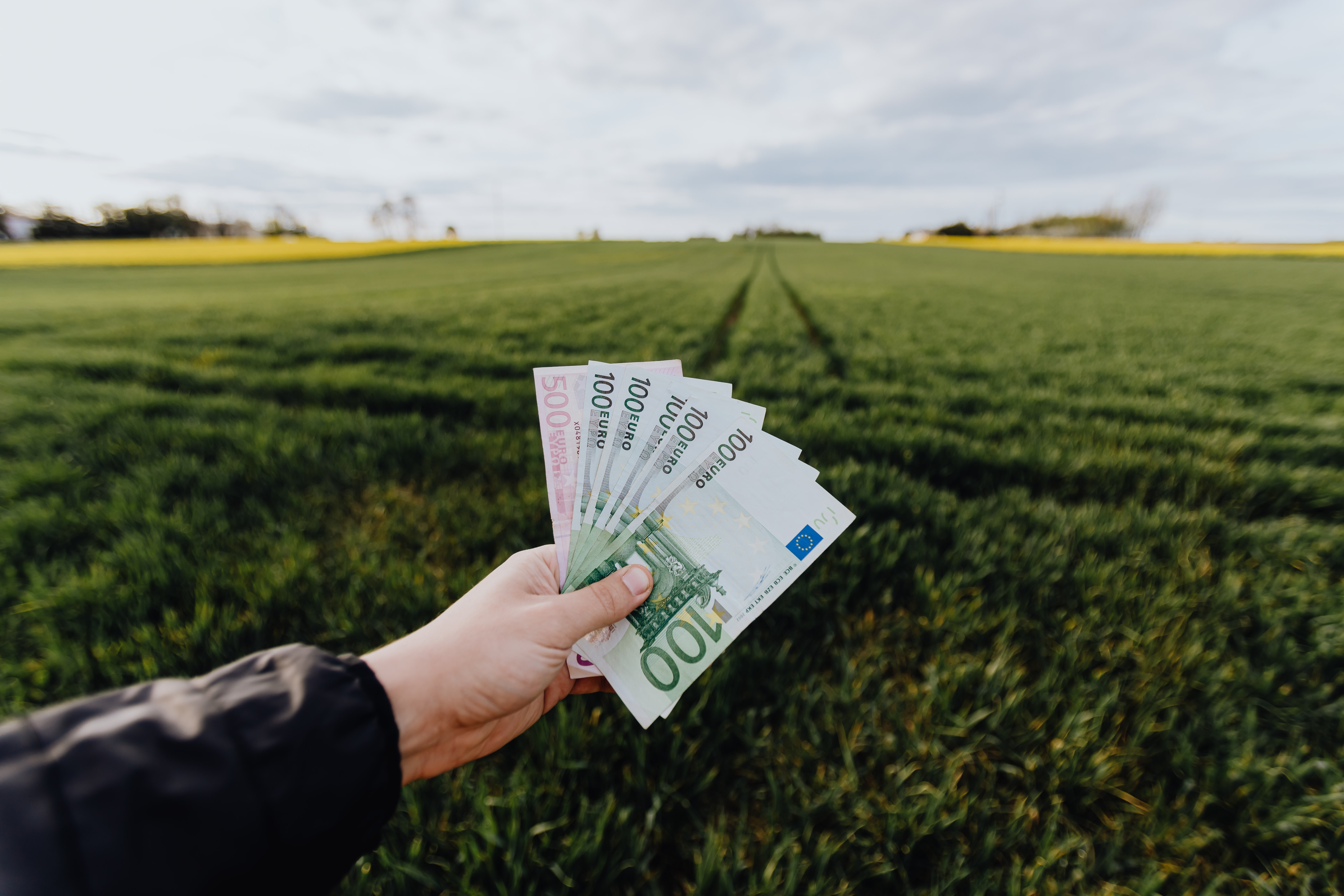 Private Equity-Venture Capital: The World of Institutional Investing.